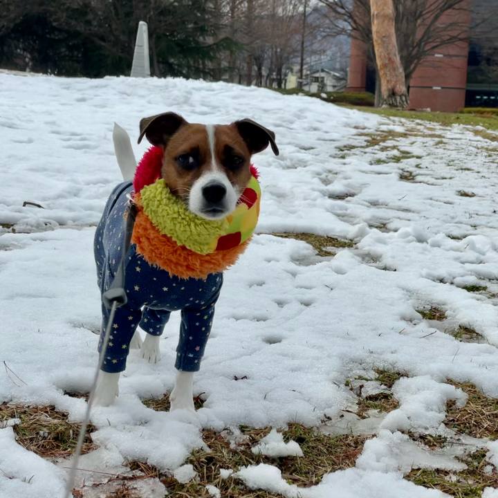 8e3ff6ce a1ac 4891 9af9 f43e5d122a35 1645271954479