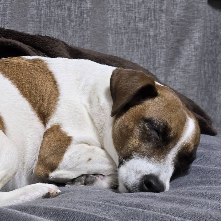 8e3ff8ed b1ba 4cc3 b05b 557d7febf5ae 1774190885026