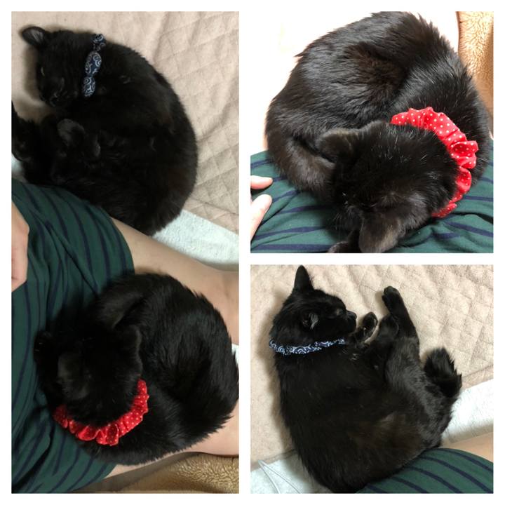 8e402332 d58f 4742 972e 285cfb2e6965 1554209493171