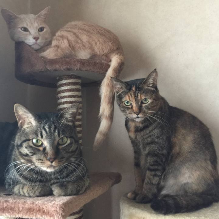 8e409826 44a4 4f49 8682 809e491907f7 1520723245994