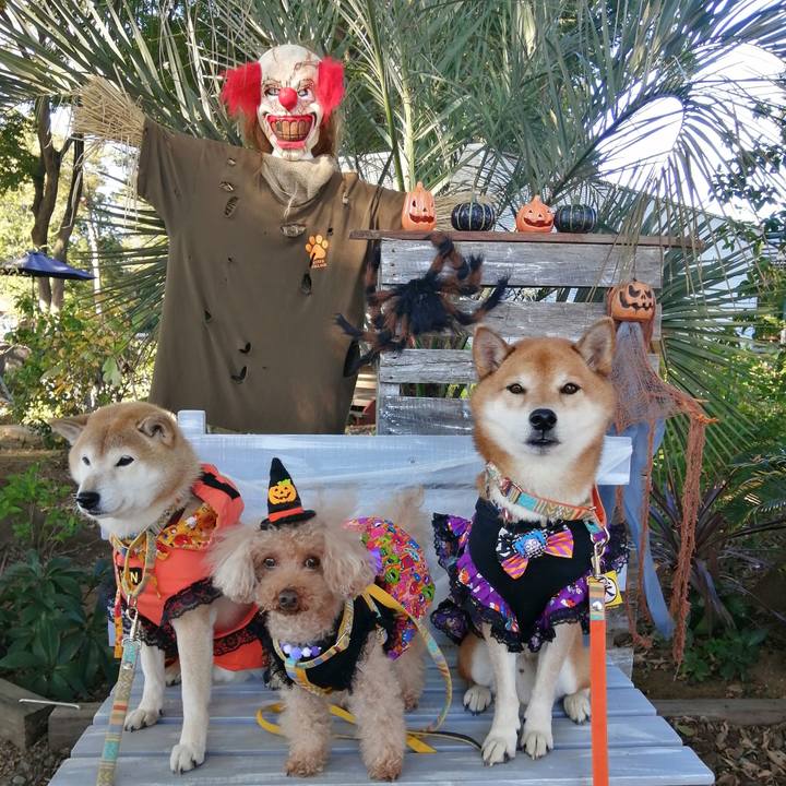 8e40c818 bda0 4786 b823 20e280eb58b0 1667209490904