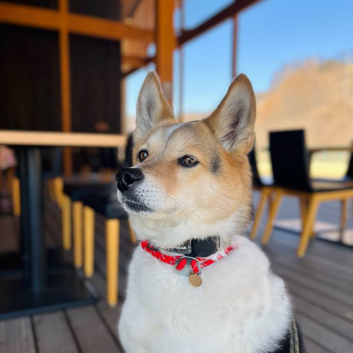 8e40d3fb d63b 423b ba39 a871577d87cf 1773022411095