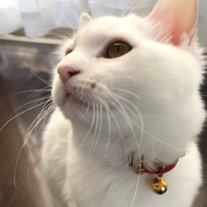 8e40d440 0014 49d0 948b 759b54dc9e89 1512900249250