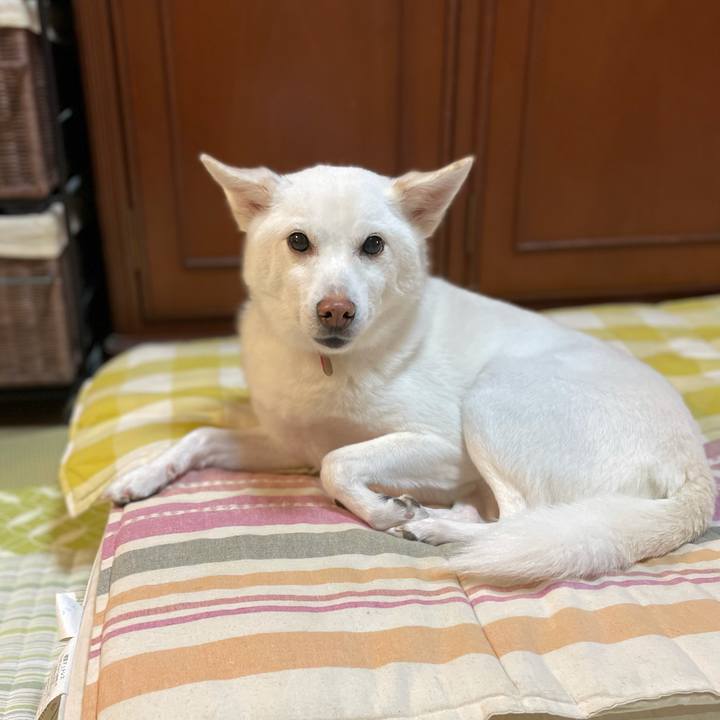 8e40e1ad 46dd 488a 97f8 b97a427ffb76 1606216228097