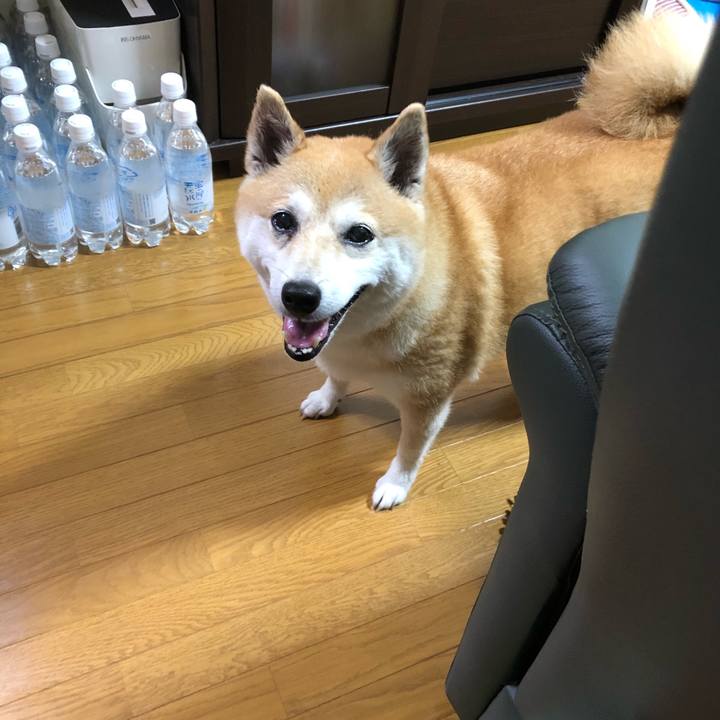 8e40e8d1 77b2 4dc1 8f7a 016179c8ba08 1594640910416