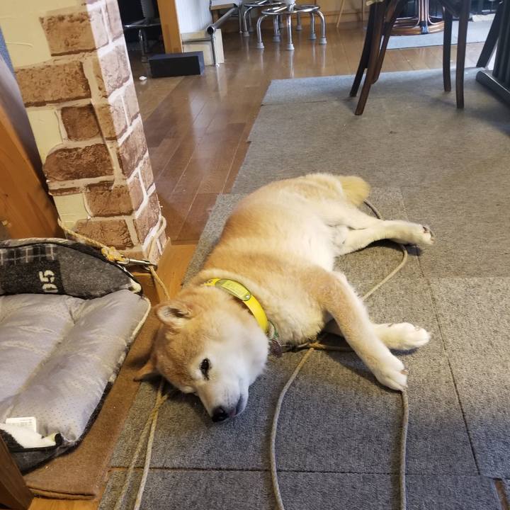 8e410dfc 3e8b 4ed4 aa40 26d06af5e8f8 1688948007699