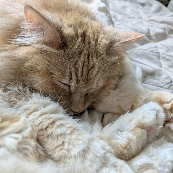 8e41263b 9d67 426f 810a 690b012d47d5 1751685017202