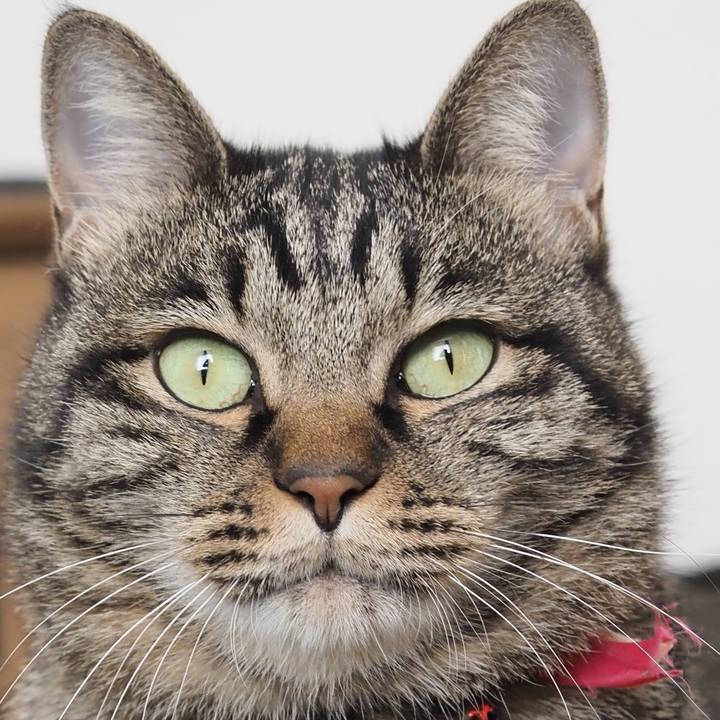 8e415074 198d 48c4 80af de1112ec330e 1605346701345