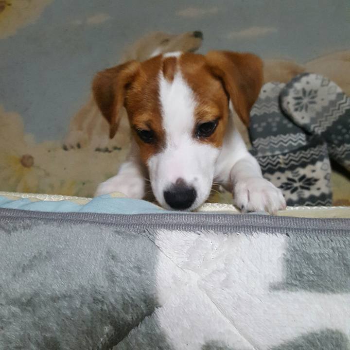 8e4167c6 bced 4fc7 a775 f09c4186270e 1550701250532