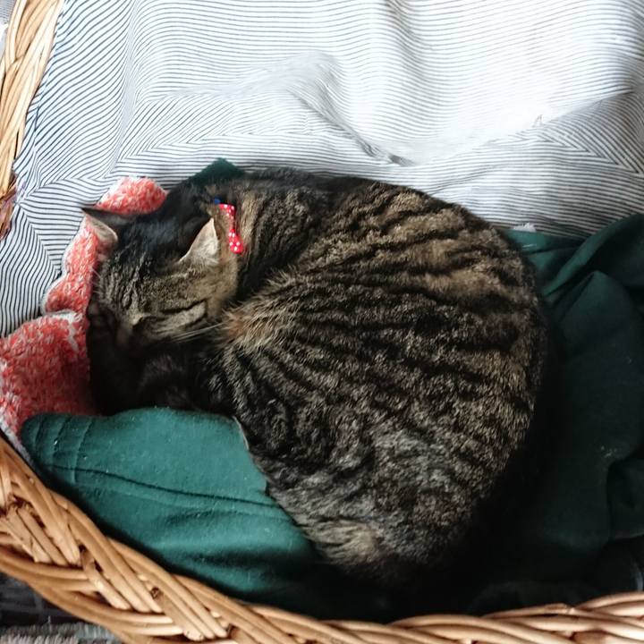 8e418f6a f6da 433e 9553 2f4389d24fac 1641088957836