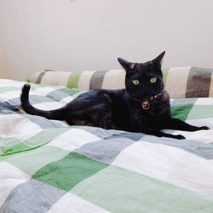 8e41a600 32d5 4c7a 9828 f93300148f10 1557719785787