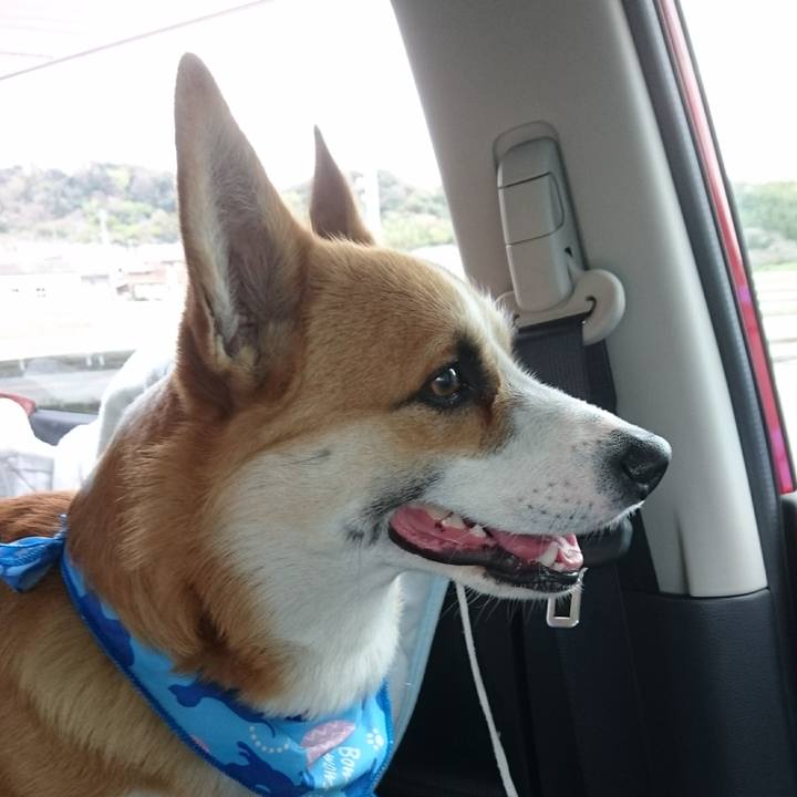 8e41c49b 6c68 4c7d 81f3 cdcbdcb31dcd 1585399037092