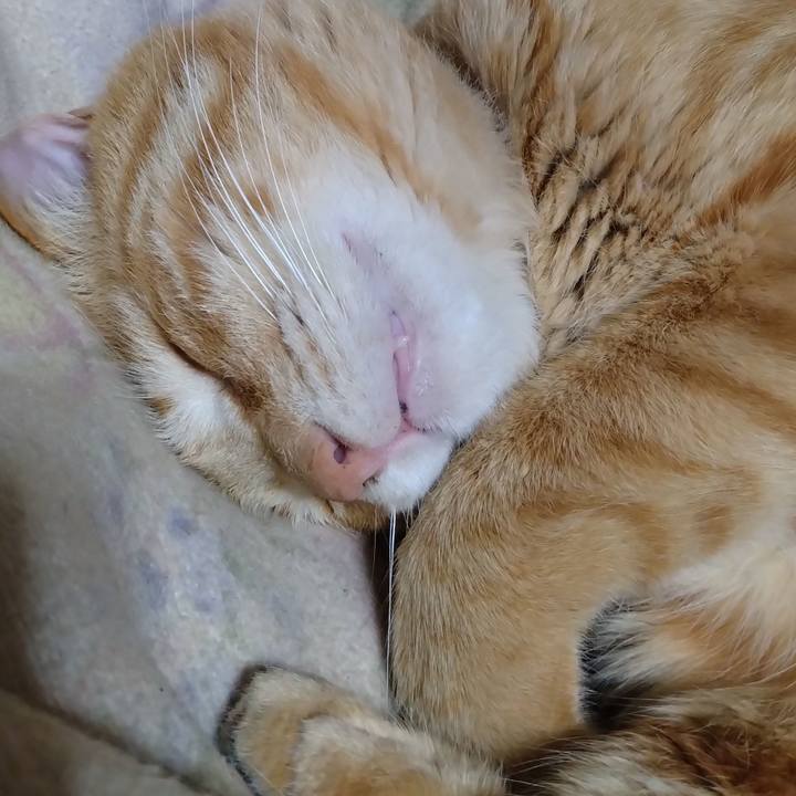 8e41d4b1 00c7 4174 a00d e27dcd258524 1680700797956