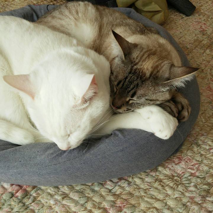 8e41f1d5 81d7 40eb 8ef6 2af71cbe6ec0 1519966968221