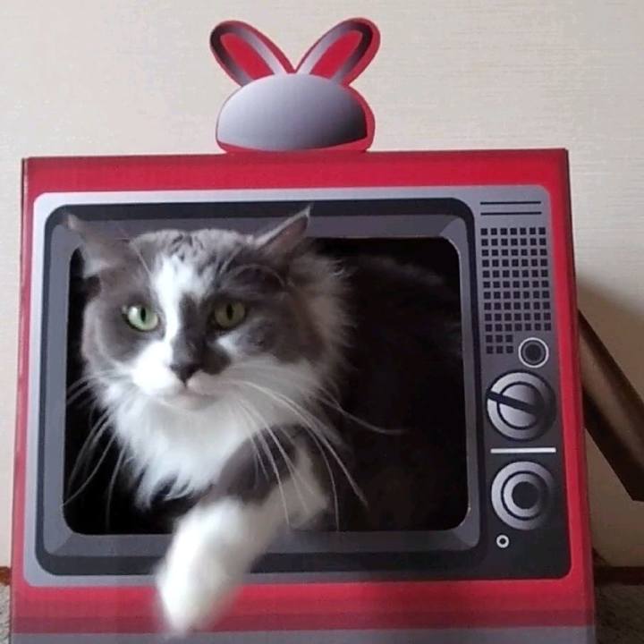 8e4208eb a601 4b7b b433 7397e5496f2a 1757216185889