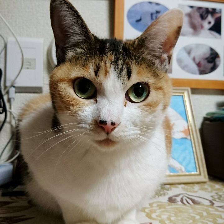 8e427c80 ae0a 4c49 a331 39780c91fc19 1553167726022