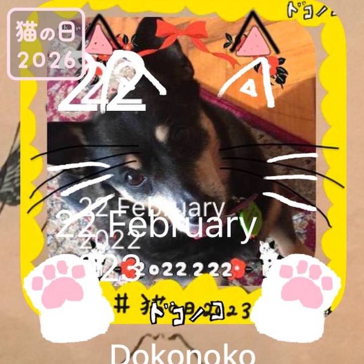 8e42d203 d884 4cfb bfe0 0fc6025e8fe9 1771727624190