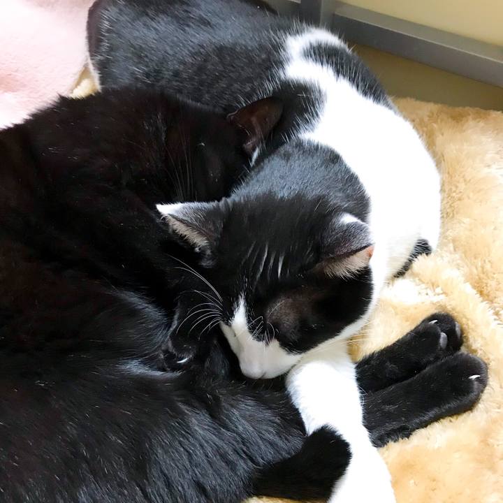 8e42d859 8e44 4c30 828f 1e5e59273940 1515370754709