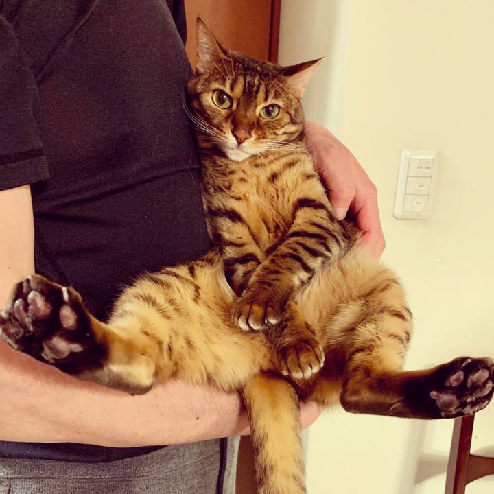 8e42e78f 7ea1 4c37 9e8e 32975e2b9590 1555112841209