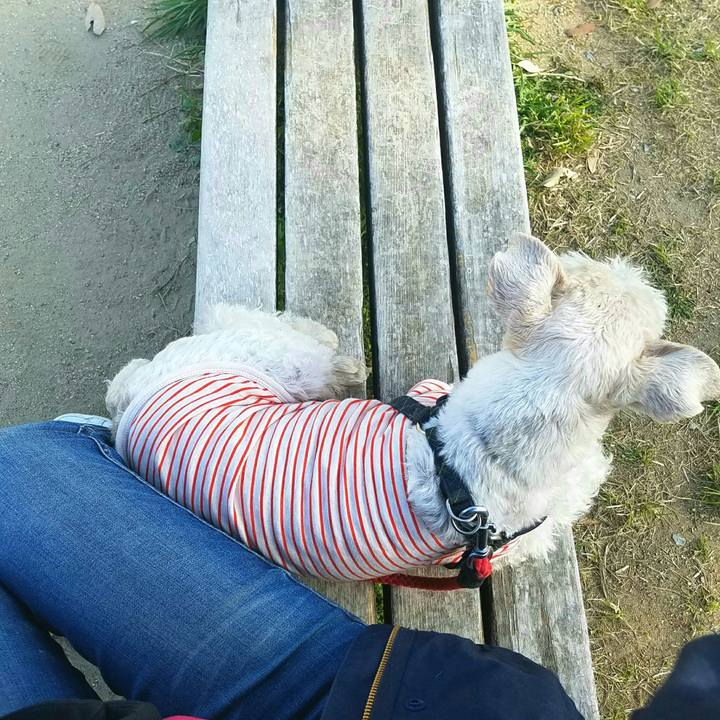 8e42eead 9ffd 4f67 b9e1 7eb1a5858451 1523419153293