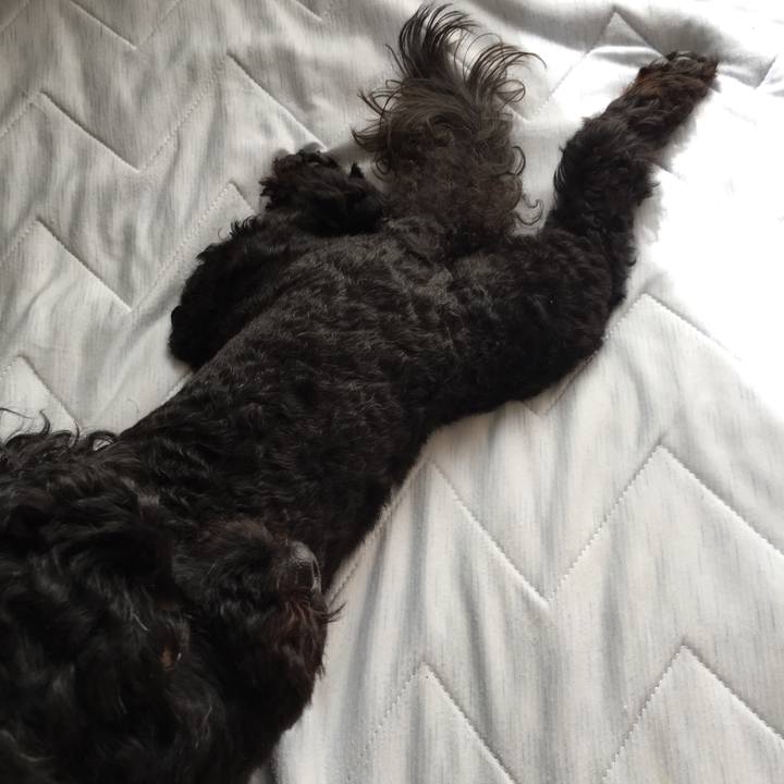 8e42fded bbc6 4389 9ca4 ac66bbf3624a 1527132470404