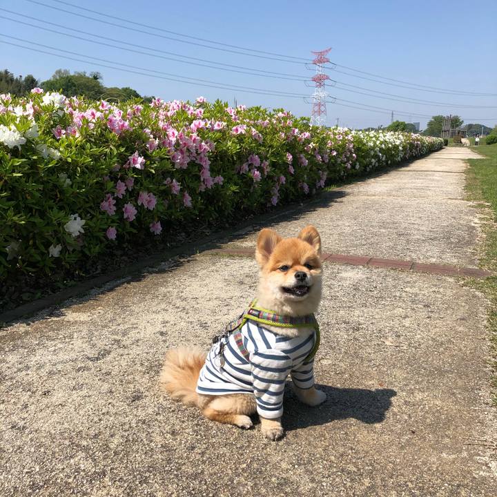 8e42fe18 6112 4d79 af49 35e7d4b6fa29 1618970901483