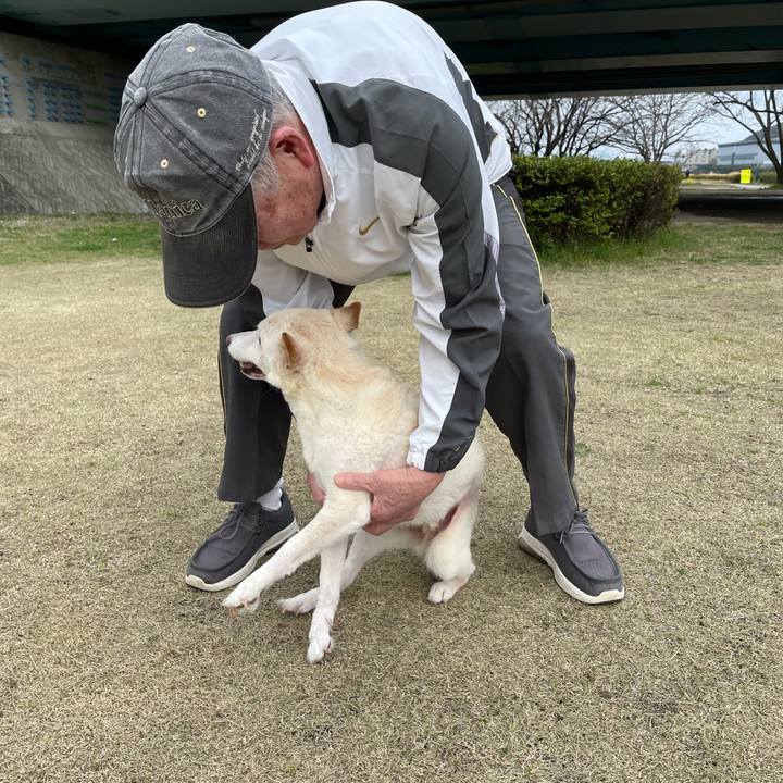 8e433405 a1b4 4354 86fc b163b0404b5a 1678714067380