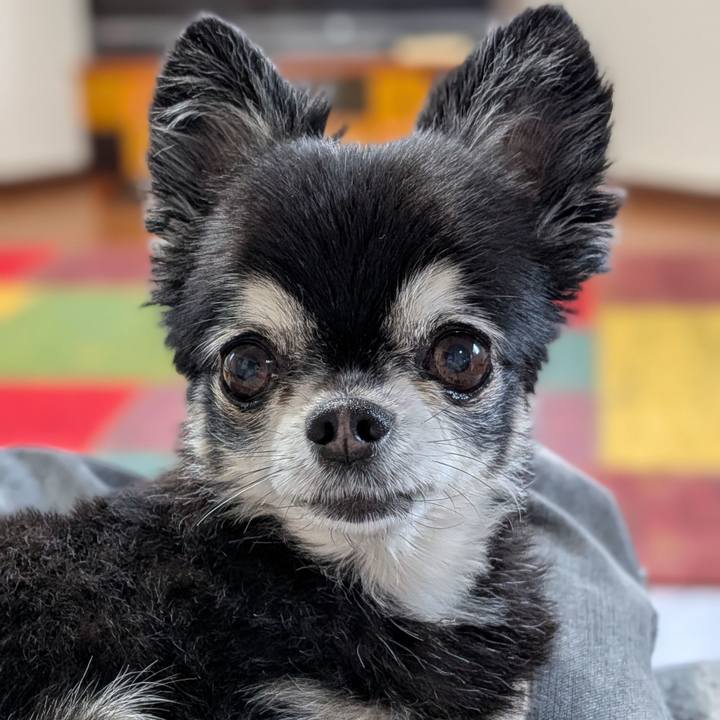 8e434ece f7e3 49fa b976 7c2bcc173d23 1776045387209