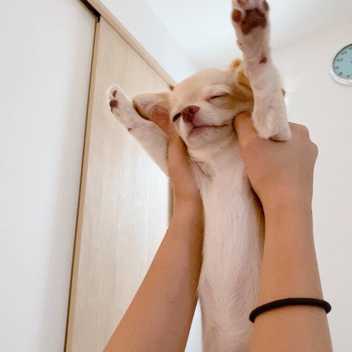 8e4387ec 98f9 4fde b749 fc89e9a0065c 1596880534649