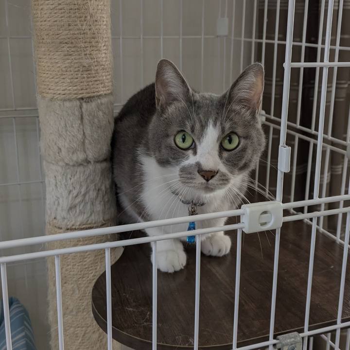 8e43a2a9 ebdc 400f a48c 5cbc316dea90 1760062383214