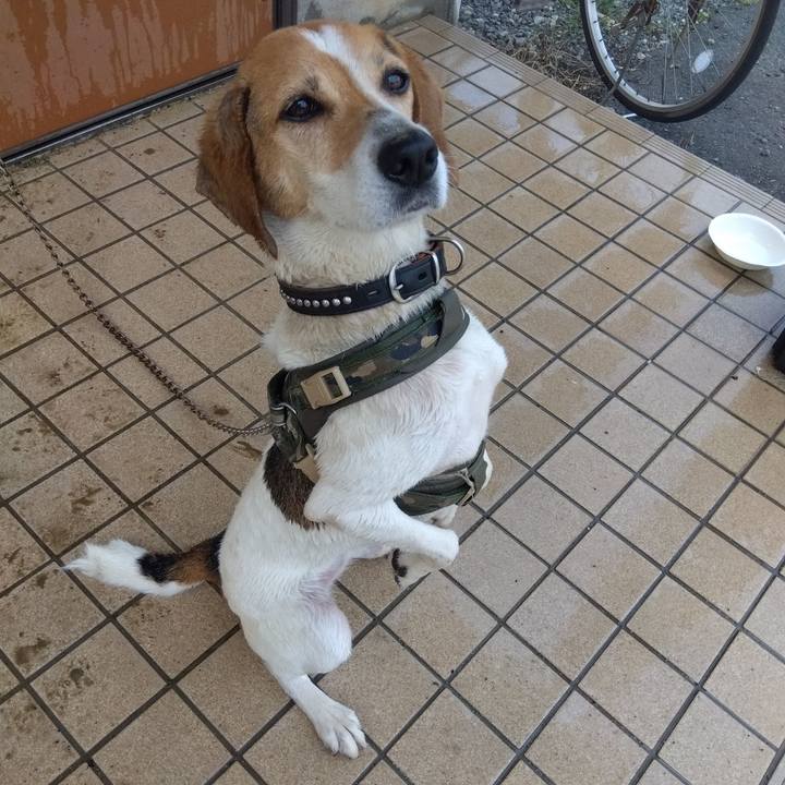 8e43baf4 c36f 478e 8611 400edb6f76b2 1685957651329