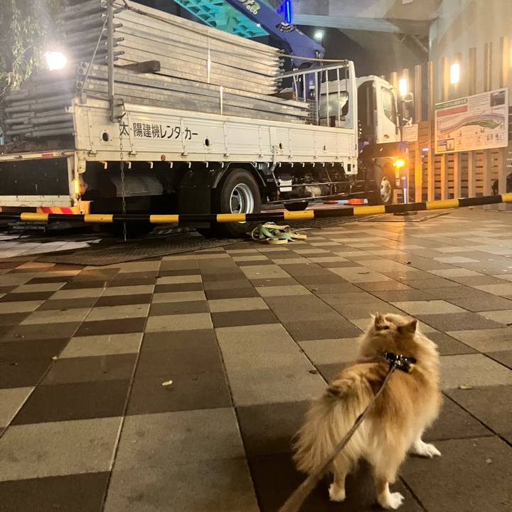 8e43ddec 9c19 46a2 b54a 16bbd904edaf 1757427247978