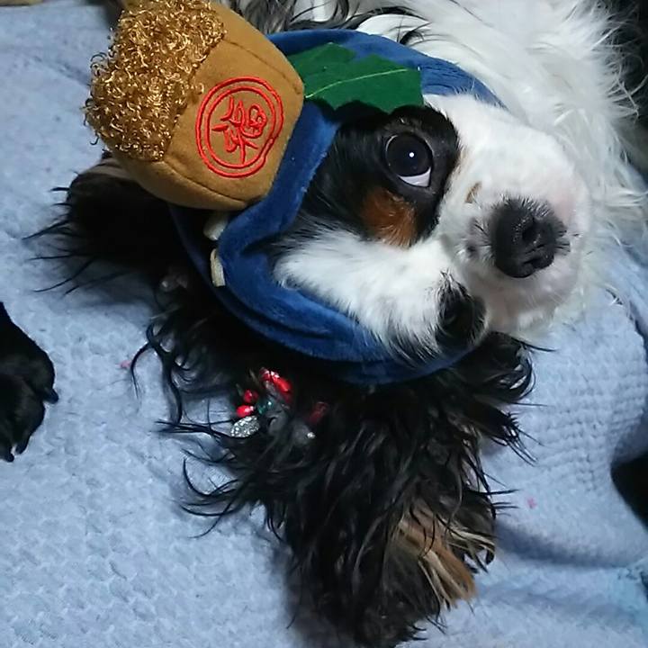 8e43f02a a5e1 4d07 b486 604440a8fb44 1549185395661