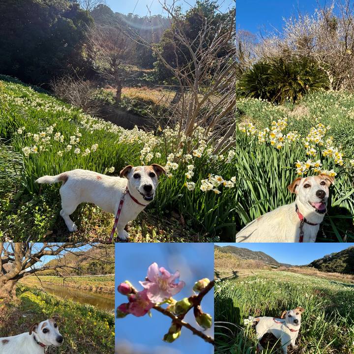 8e43f15a 7925 4e2f 98fe f887ae4f9516 1768567415091