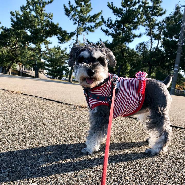 8e440b8e c78f 4452 b99c 0d8709f22a14 1635044957089