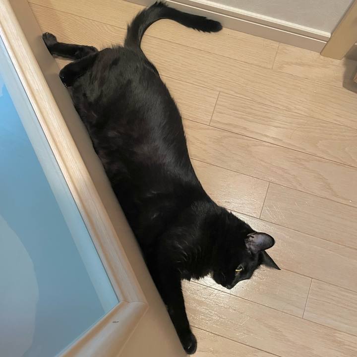 8e44157a 8226 4697 8c50 acace49bab1c 1726308880202