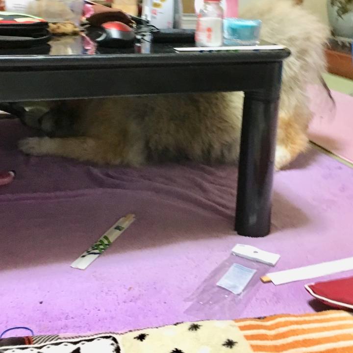 8e442413 6517 48e9 8f3d 18a7c37ce914 1589073766170