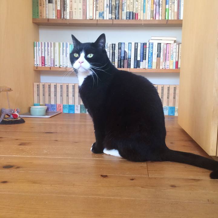 8e442645 615d 4e7e adb5 39f46dd0c321 1514939011184