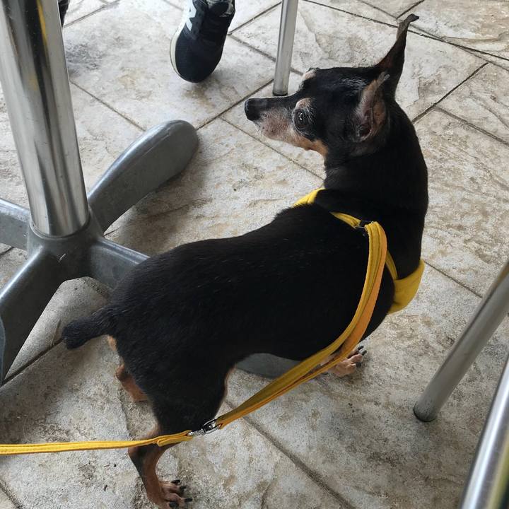 8e4457c3 b102 4725 be78 d31824c30565 1540726166257