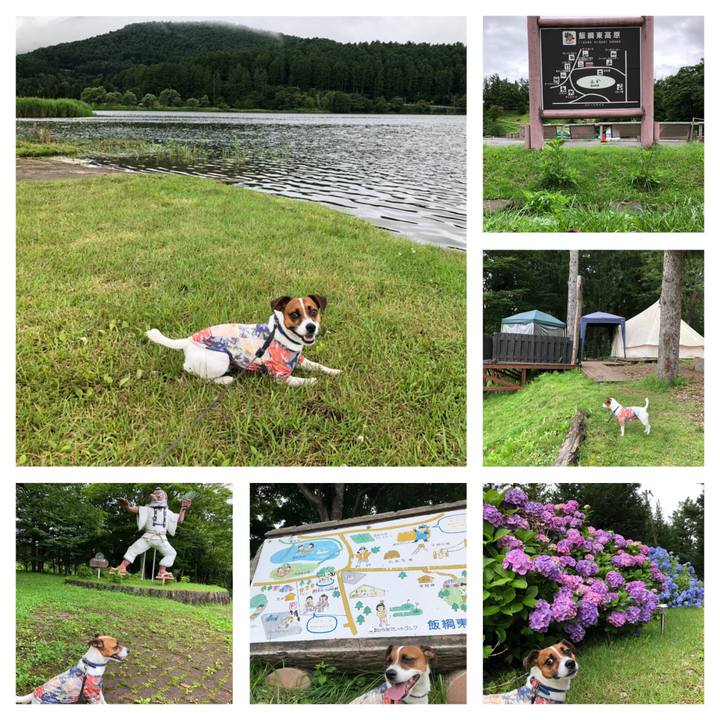 8e44613a 0784 4070 86b2 2709c90a749a 1596007334587