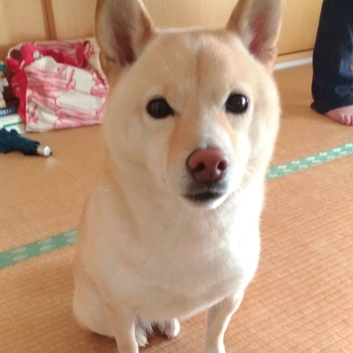 8e448818 2e2e 4008 9d40 c6c2c329169b 1603150719120