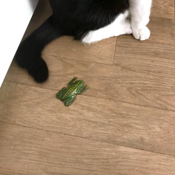 8e449f2d 7c96 4a4e a695 61d5579b911e 1557287323702