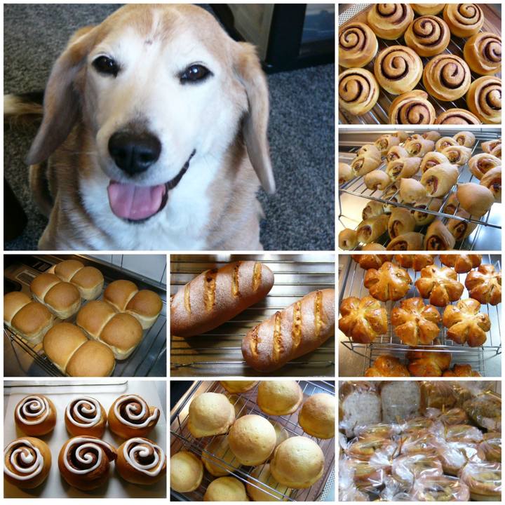 8e44ad3b 3b2e 42a5 9ca4 ba9bff461a11 1680742444277