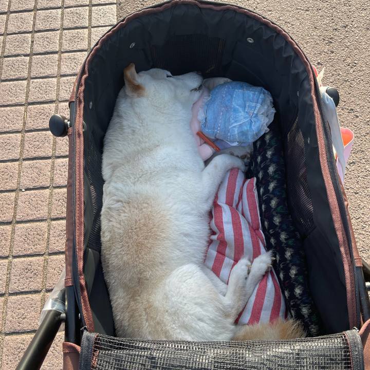 8e44e300 0177 46c9 a8e4 9cdb541b651e 1650622674156