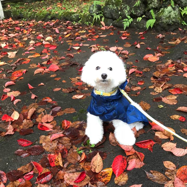 8e44fca3 f208 45bc a3e1 5a0551951567 1537602101962