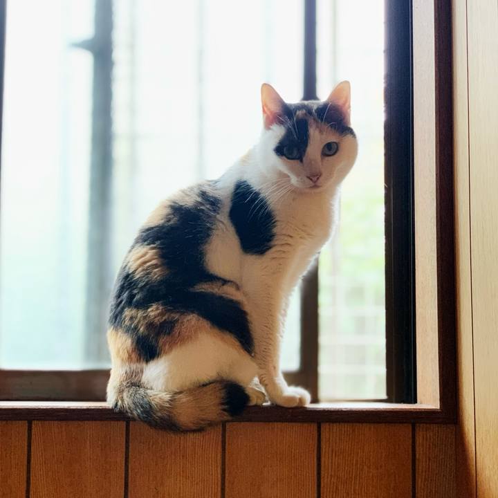 8e451ba0 3376 4130 b287 bb55ad0140b1 1598494028199