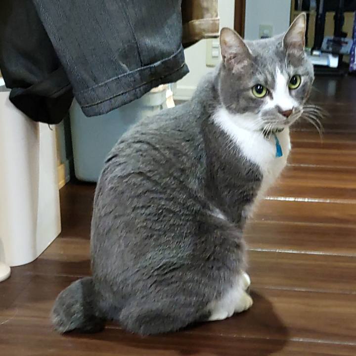 8e451cda e52b 40fe b10a e904d6effaa3 1708295171897