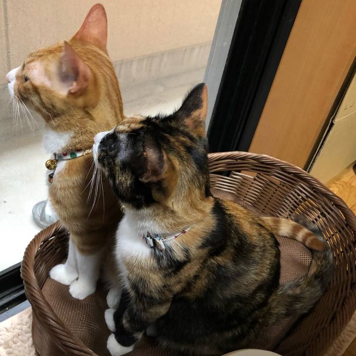 8e452513 f454 4721 aa15 df5e755d1c37 1570006520738