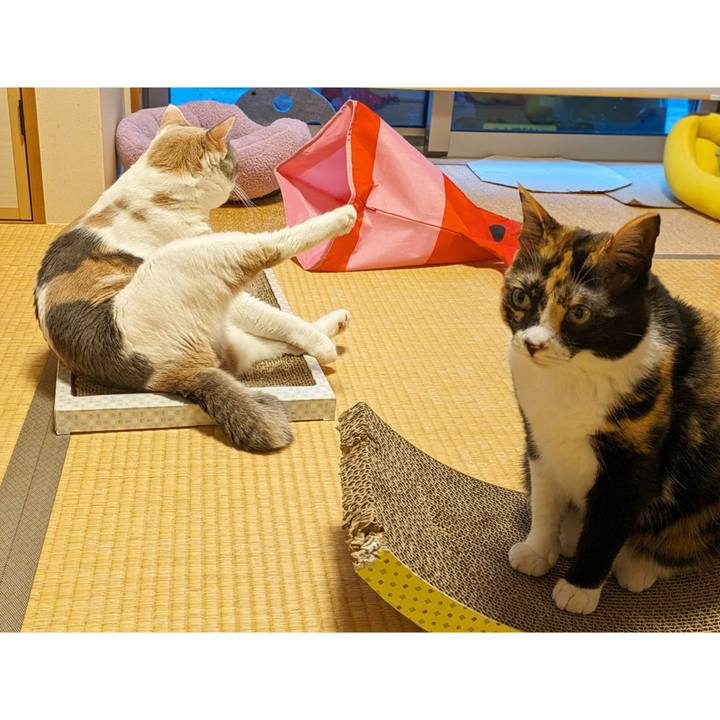 8e4525c1 000b 4c99 8432 f5294aa4ce26 1719555647549