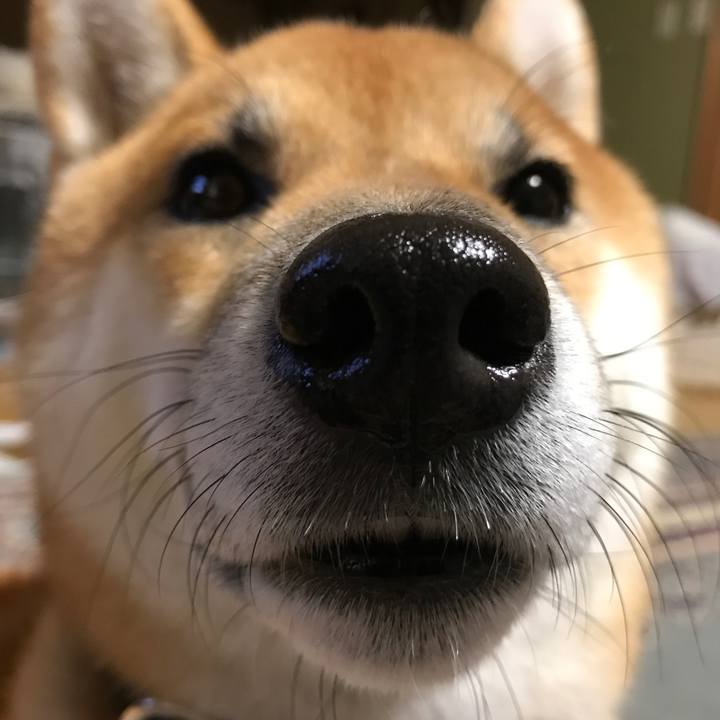 8e4535a2 c20a 4bf6 96c2 c4f43ad57bd5 1524095614834